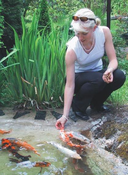 [Niina and koi carps]